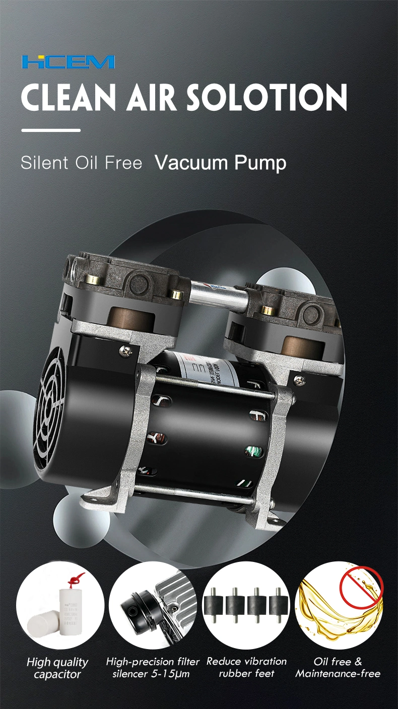 220V Medical Dental AC Electric Air Diaphragm Vacuum Pump Laboratory Mini Electric Suction Vacuum Pump
