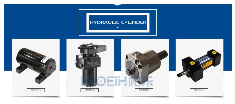 Rexroth Hydraulic Pump/Piston Pump/Grease Pump/Pressure Pump/Oil Pump/Vane Pump/ Gear Pump/Excavator Pump for A2fo A2FM A10vg A4vg A4vso A4vsg A8vo A10vso A11V