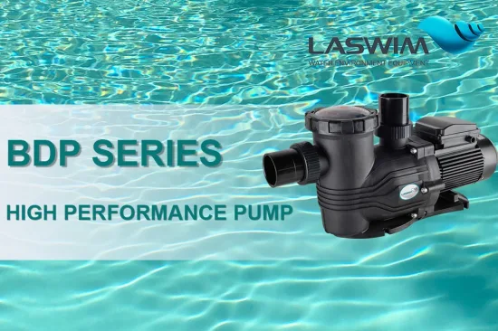 Hot Sale High Quality Centrifugal Electric Water Pumps for Commercial Swimming Pool, SPA, Waterfall and Water Features